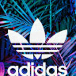 Meet your Posher, Hayden